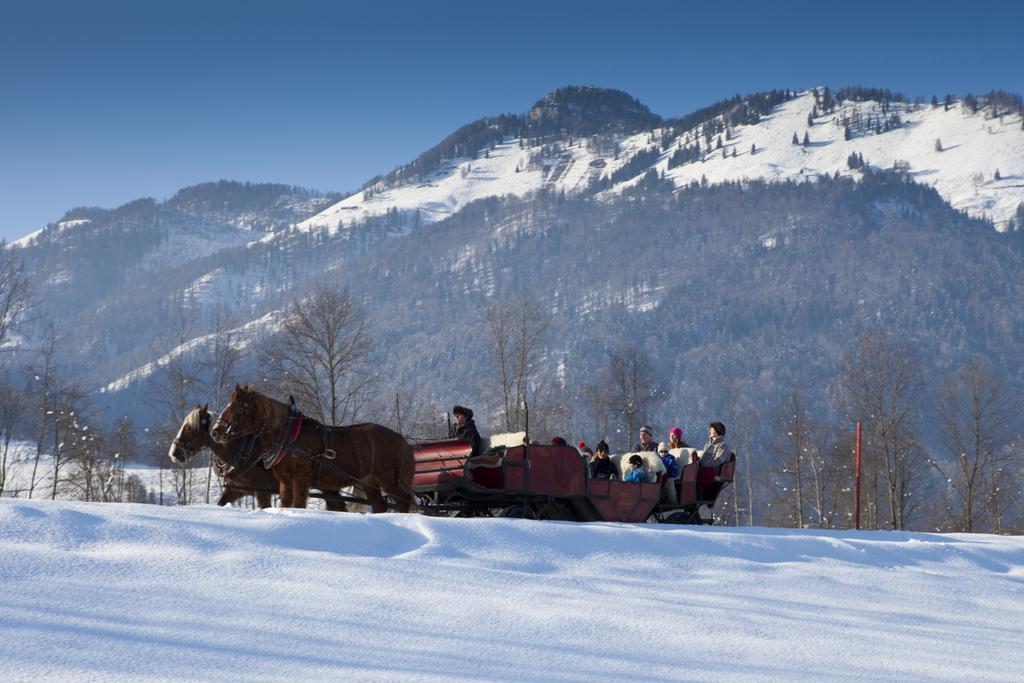 Bergheim Komfort Ferienwohnungen วัลช์ซี ภายนอก รูปภาพ